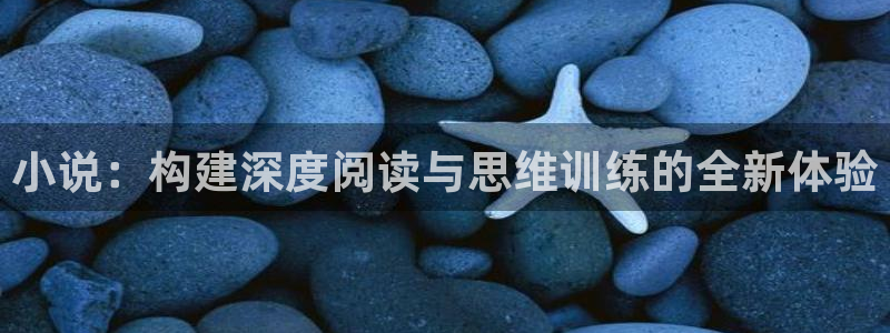 小说阅读吧