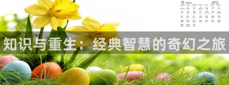 免费小说免费小说阅读网：知识与重生：经典智慧的奇幻之旅