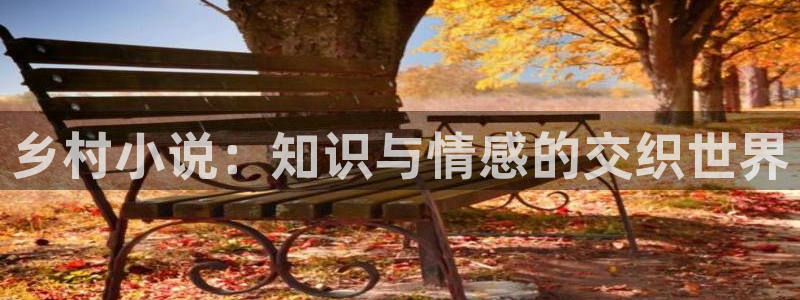 爱看小说阅读：乡村小说：知识与情感的交织世界