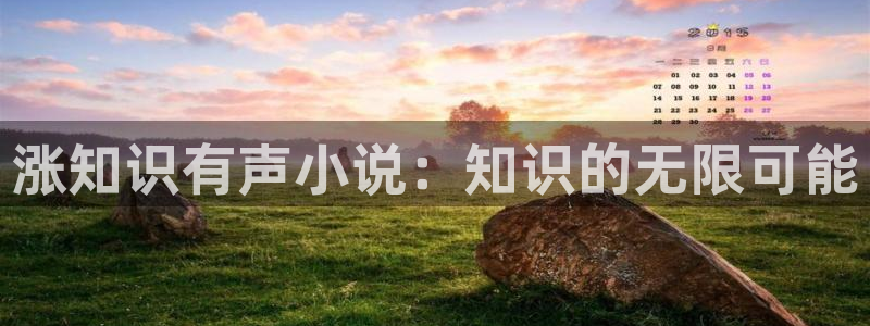第二书包小说阅读排行榜：涨知识有声小说：知识的无限可能